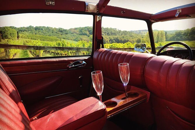 3H private city tour of Bordeaux and vineyard in a Citroën DS - Pessac-Léognan vineyards: the one-drink-per-stop mindset (in a good way)