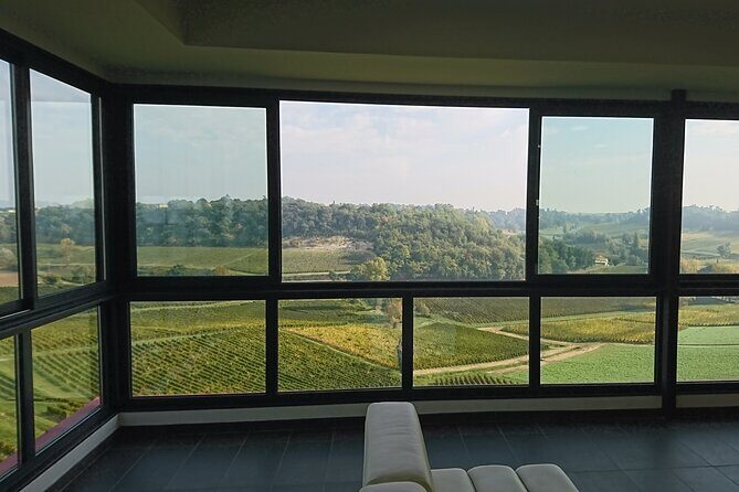 A day in Saint-Emilion in a small group (Electric Luxury Van) - Chateau Franc-Mayne visit: learning wine like it’s hands-on, not homework