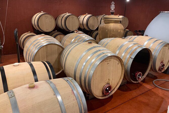 A day in Saint-Emilion in a small group (Electric Luxury Van) - Lunch at Le Jardin: included French food with vineyard timing