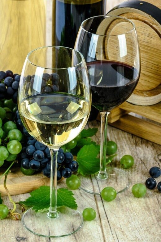 Aperitive guided cruise « Wine and Canelé » - Live guiding on the river: how the commentary changes what you see