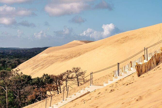 Arcachon Bay Full Day Trip from Bordeaux with lunch and Pyla Dune - Gujan-Mestras port lunch: oysters or shrimp, front-row seafood energy