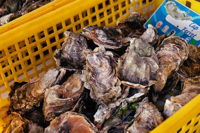 Arcachon Bay Full Day Trip from Bordeaux with lunch and Pyla Dune - Should you book the Arcachon Bay full day trip from Bordeaux?