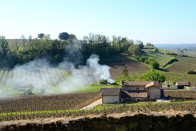 Backcountry E-Bike Adventure from Bordeaux: Wine Tasting & Lunch - Palais Gallien: Roman amphitheater ruins you can actually picture