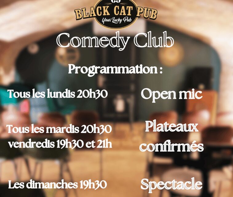 Black Cat Comedy Club - Price and ticket value: $4.24 for a real live show