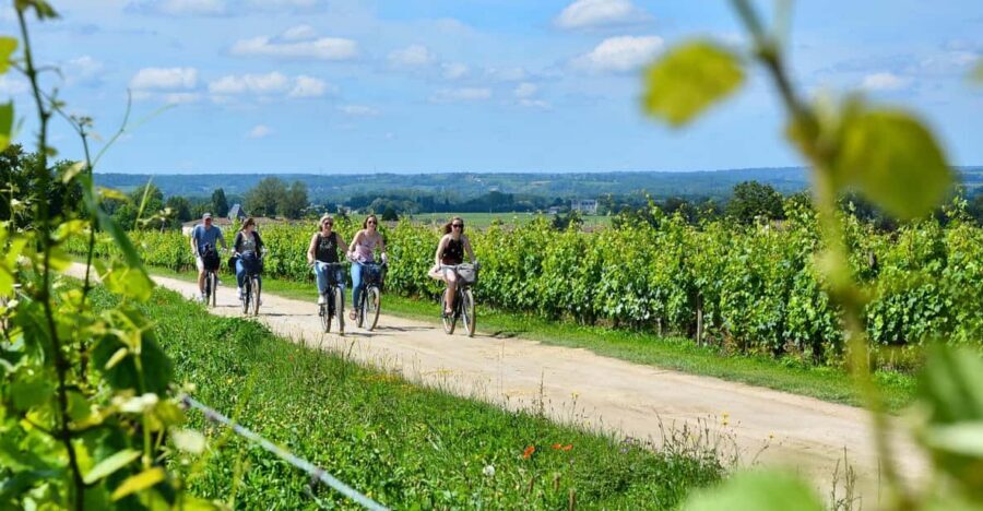 Bordeaux Backcountry E-Bike Tour with Lunch & Wine Tasting - The Hook: Why the Roger Lapébie Greenway Feels Like a Cheat Code