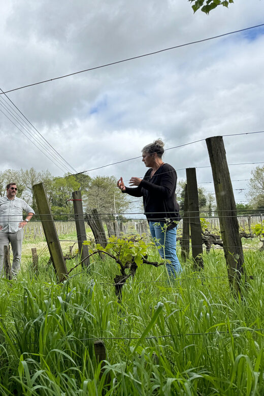 Bordeaux Backcountry E-Bike Tour with Lunch & Wine Tasting - Returning to Bordeaux: Same Quiet Path, New Perspective