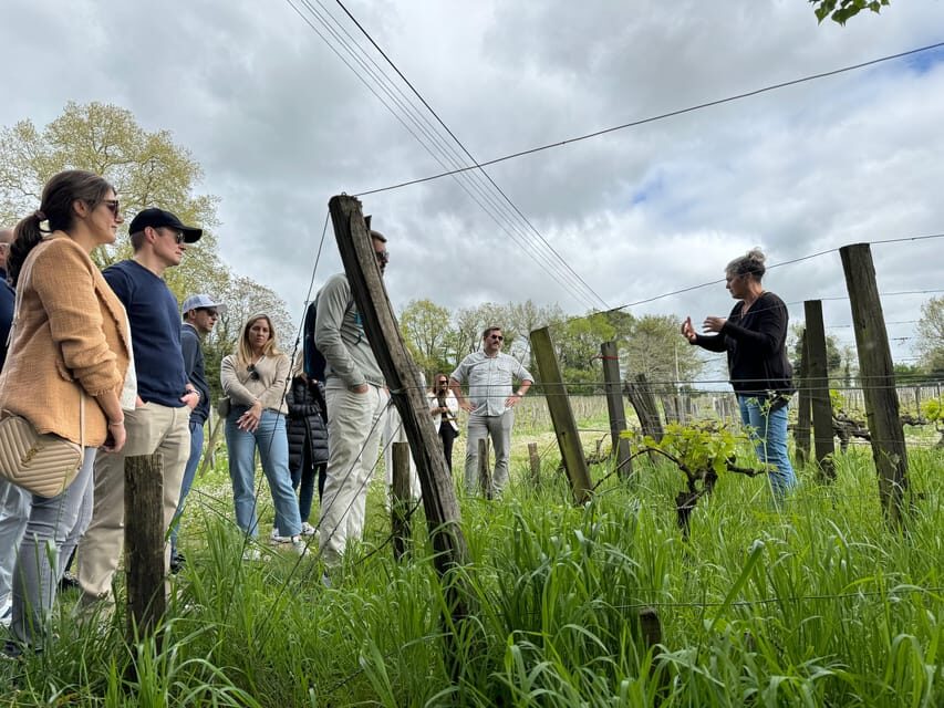 Bordeaux Backcountry E-Bike Tour with Lunch & Wine Tasting - Price and Value: What $153 Buys You in Real Terms