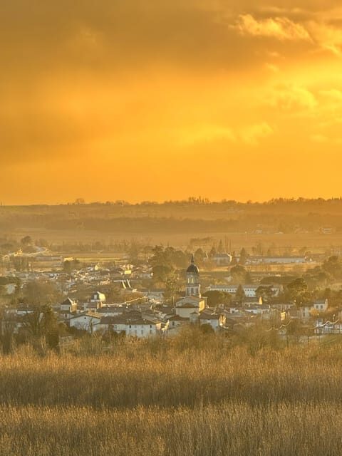 Bordeaux Backcountry E-Bike Tour with Lunch & Wine Tasting - Who This Tour Suits Best (and Who Should Skip It)