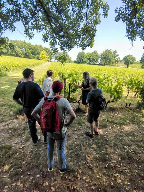 Bordeaux by Gravel Bike : Historic center & vineyards - Crossing the Garonne: Pont de Pierre to riverside gravel