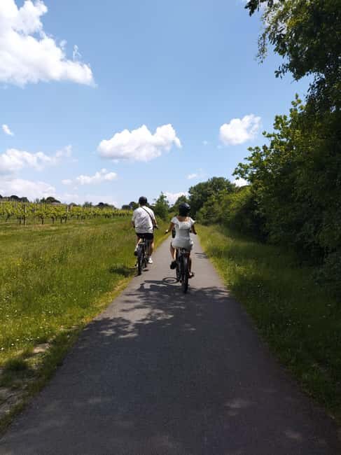 Bordeaux by Gravel Bike : Historic center & vineyards - Price and value: $138 for a city-to-vineyard experience