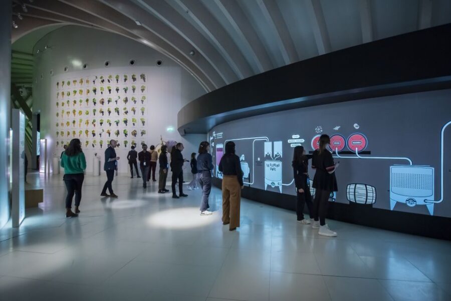 Bordeaux: Cité du Vin Entry Ticket and Wine Tasting - Who this suits best in Bordeaux