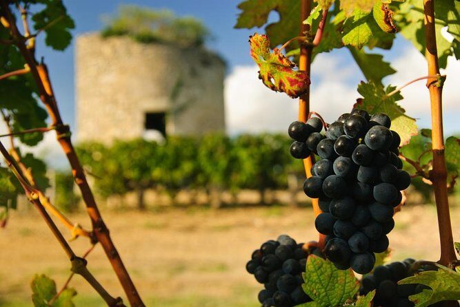 Bordeaux Full day Medoc and St Emilion 3 chateaux with Lunch - Key highlights worth planning around