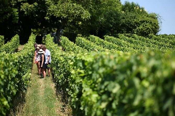 Bordeaux Full day Medoc and St Emilion 3 chateaux with Lunch - Médoc plus Saint-Émilion: a smart one-day Bordeaux mix