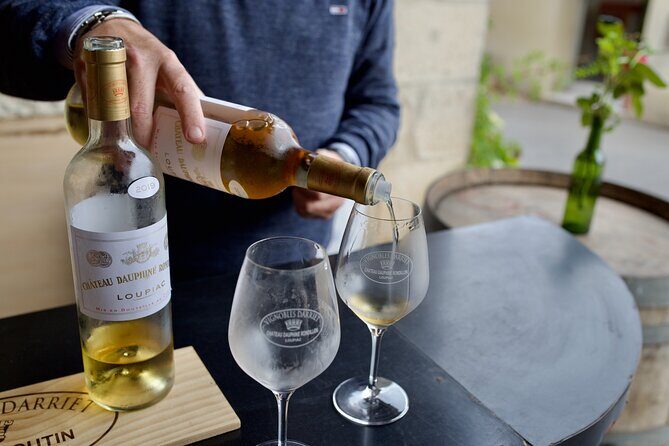 Bordeaux : Full Day Wine Tastings & Gourmet Lunch - Stop by stop: what the day feels like