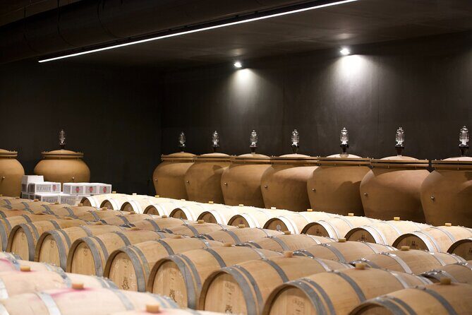 Bordeaux : Full Day Wine Tastings & Gourmet Lunch - Guides Vanessa and Mikel: why the day feels personal
