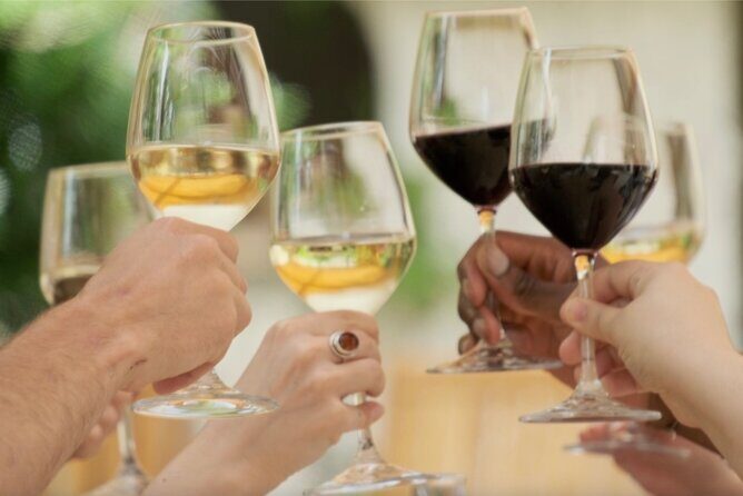 Bordeaux : Full Day Wine Tastings & Gourmet Lunch - Transportation and timing: what to plan for