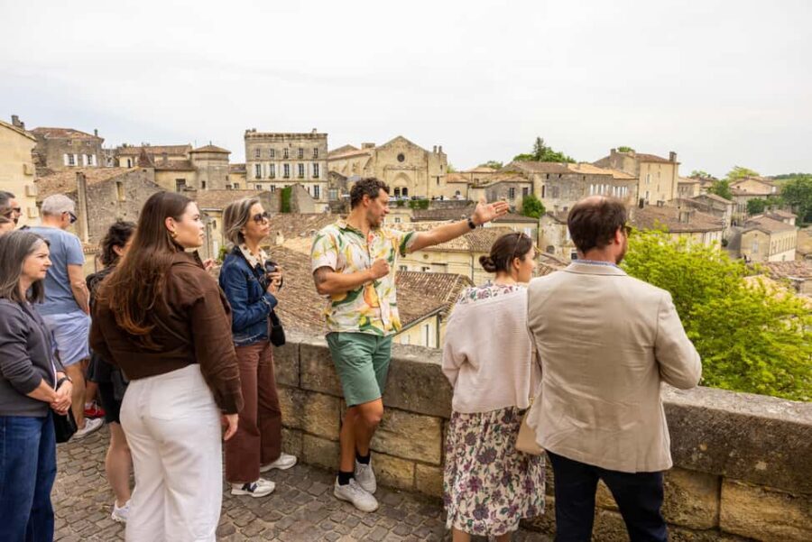 Bordeaux Full Day Wine Tour - 3 Wineries & Picnic Lunch - Key things you’ll like about this Bordeaux wine day