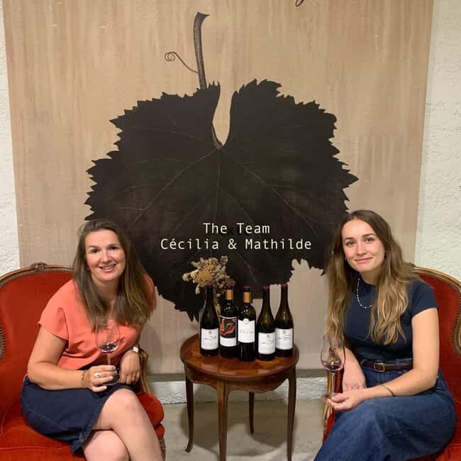 Bordeaux: Guided Bordeaux Wine Tasting Class with 6 Wines - Who Should Book This Bordeaux Wine Tasting Class