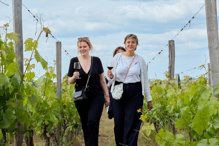 Bordeaux: Half-Day Margaux Tour with Wine Tastings - Tips to Make Your Afternoon Go Smoothly