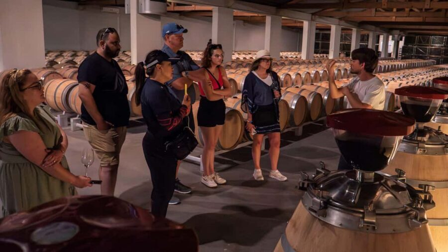 Bordeaux: Half-Day Margaux Tour with Wine Tastings - Who This Tour Suits Best (and Who Should Skip It)