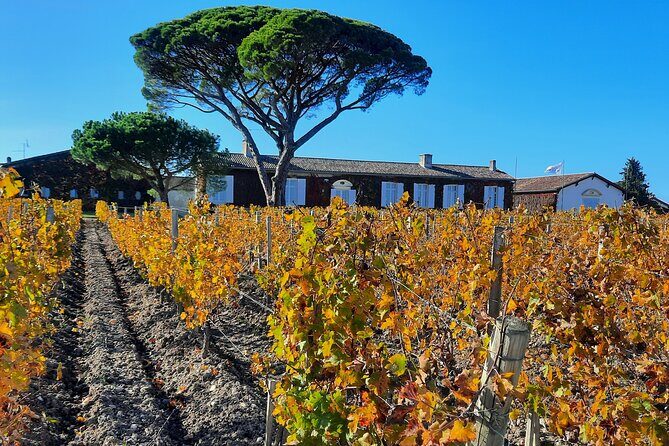 Bordeaux Médoc Region Private Wine Lovers Tour with Chateau Visits & Tastings - What to Expect at Each Winery Stop (and Why You’ll Care)
