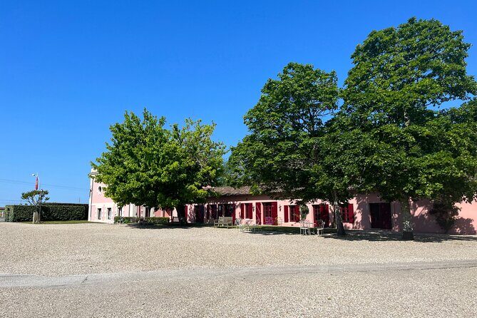 Bordeaux : Private city tour in a 2CV with wine testing - 3h - Why a 2CV Bordeaux tour feels like the right kind of “private”