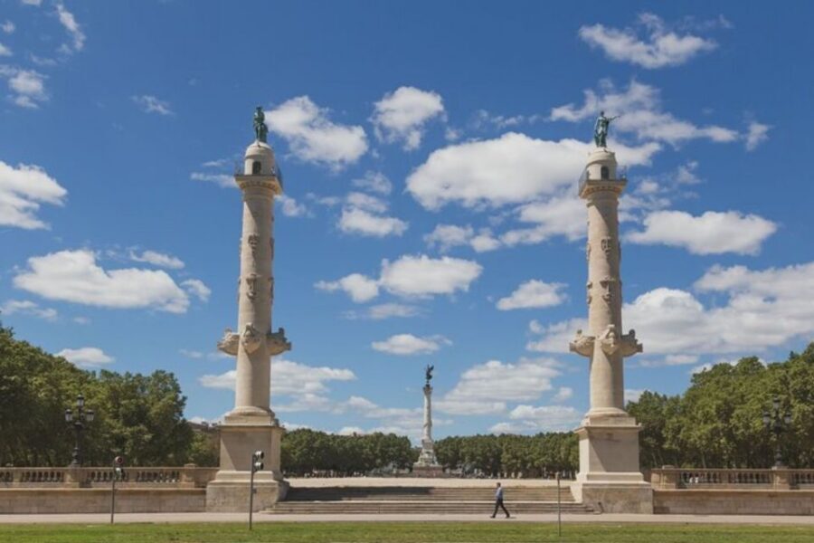 Bordeaux: Private custom tour with a local guide - Getting around: walking tour with public transport options