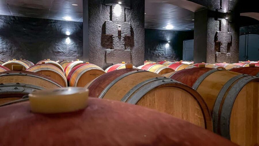 Bordeaux: Saint-Emilion and Medoc Full-Day Wine Experience - Starting in Bordeaux: where the day begins and why timing matters