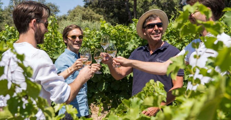 Bordeaux: Saint-Emilion Village Day Trip, 2 Chateaux & Lunch - Key highlights you’ll actually feel