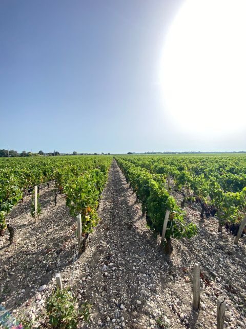 Bordeaux: Saint Emilion Village with Chateaus & Wine Tasting - Getting from Bordeaux to Saint-Émilion: the ride that sets the mood