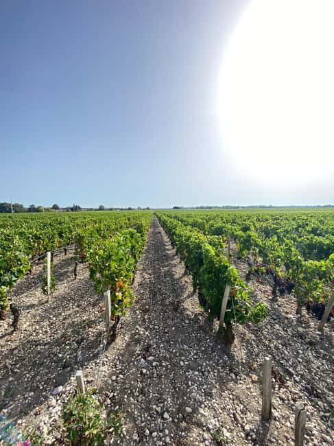 Bordeaux: Saint Emilion Village with Chateaus & Wine Tasting - How the day flows: 12:00 to 18:00 without feeling chaotic