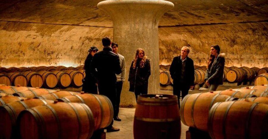 Bordeaux: St-Emilion and Medoc Wine Day Tour with Lunch - Key things I’d circle before booking
