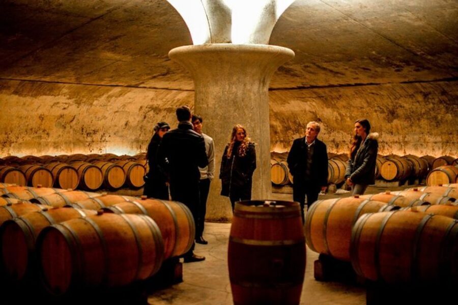 Bordeaux: St-Emilion and Medoc Wine Day Tour with Lunch - Right Bank meets Left Bank in a single, well-paced day