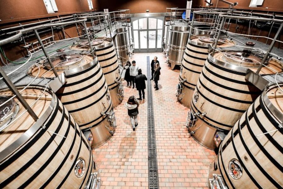 Bordeaux: St-Emilion and Medoc Wine Day Tour with Lunch - Price and logistics: what you’re paying for (and why it can feel fair)