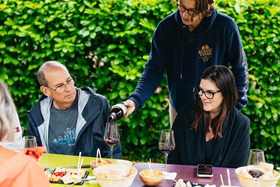 Bordeaux: St. Emilion Day Trip with Wine Tasting and Lunch - From Rustic Vines to Saint-Émilion: The Day’s Real Rhythm