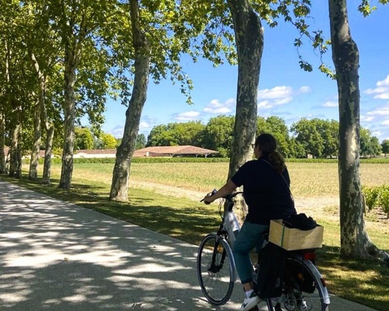 Bordeaux: St-Emilion Vineyards e-Bike Tour with Wine & Lunch - Price and Value: What You’re Paying For at $222