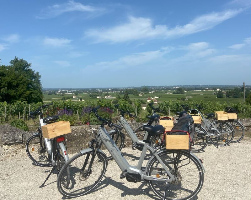 Bordeaux: St-Emilion Vineyards e-Bike Tour with Wine & Lunch - Who Should Book This (and Who Might Feel Frustrated)