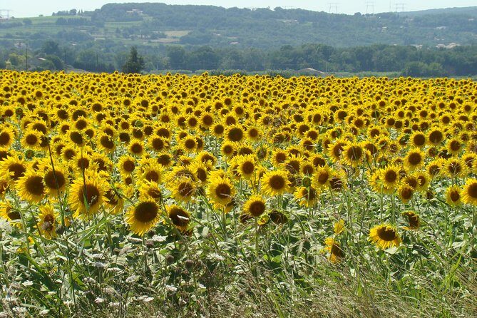 Bordeaux to Dordogne - Private Tour: Fortified Castles and Medieval Villages - Optional Castle Add-Ons: Beynac and the Castelnaud Chapel Ticket