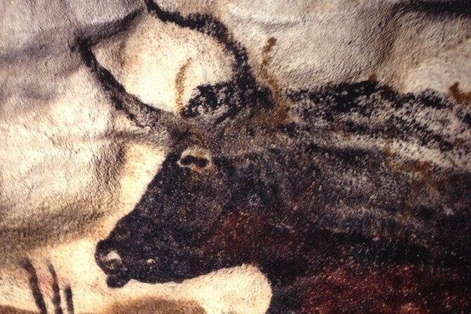 Bordeaux to Lascaux and Dordogne Valley Private Sightseeing Tour - Why This Private Bordeaux-to-Dordogne Day Trip Feels Worth It