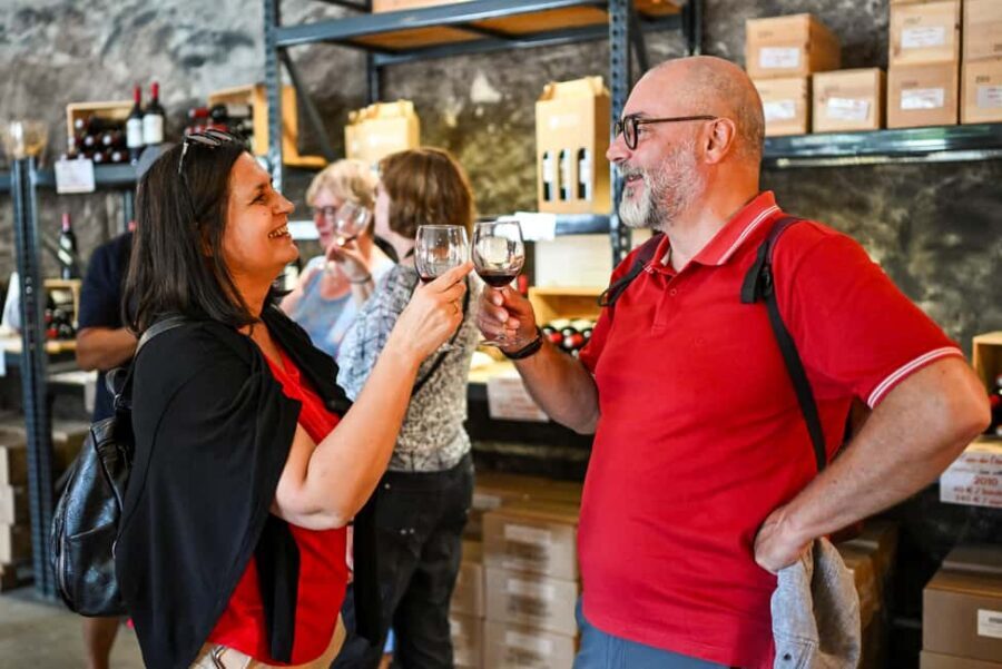 Bordeaux: Vineyards Wine Tasting Half-Day Trip - Château visits and tastings: learning first, pouring second