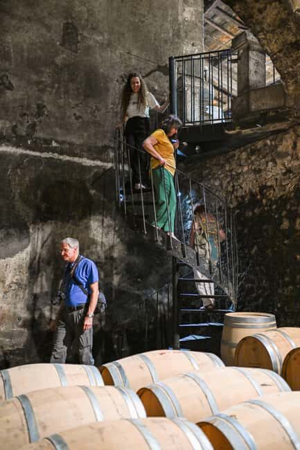 Bordeaux: Vineyards Wine Tasting Half-Day Trip - Blaye’s Citadel day: UNESCO fortress energy, then wine