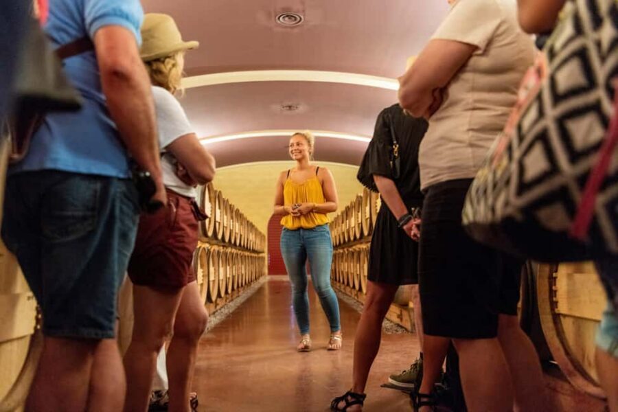 Bordeaux: Vineyards Wine Tasting Half-Day Trip - Who should book this half-day Bordeaux wine tasting