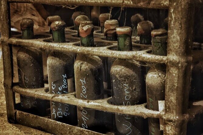 Bordeaux Wine and Trade Museum Admission Ticket with Wine Tasting - Practical Tips for a Smoother Visit