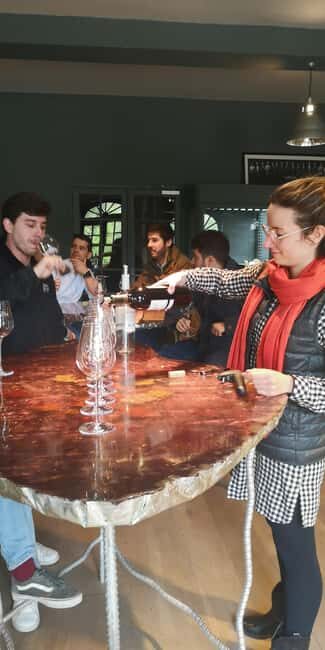 Bordeaux wine tour: 2 wineries & wine tastings (red & white) - A half-day that swaps between Pessac-Léognan and Entre-deux-Mers