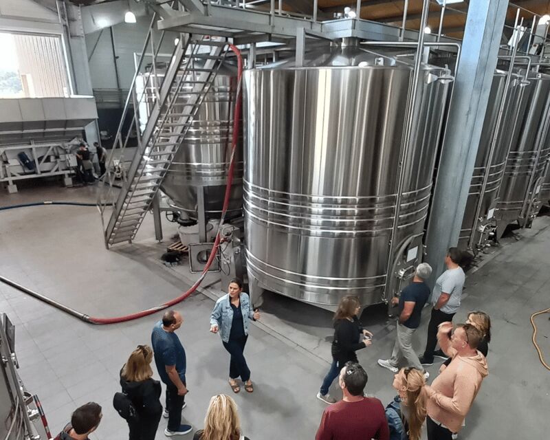 Bordeaux wine tour: 2 wineries & wine tastings (red & white) - Price and value: is $97 a good deal?