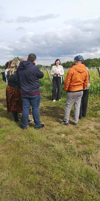 Bordeaux wine tour: 2 wineries & wine tastings (red & white) - Starting at the Cité du Vin: where your day actually begins