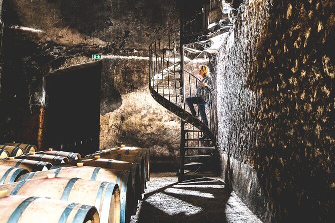 Bordeaux: Wine Tour and Tasting - Entering the 18th-century château: cellars and vineyards