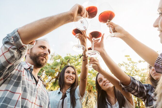 Bordeaux: Wine Tour and Tasting - Price and value: about $31 for a guided château visit