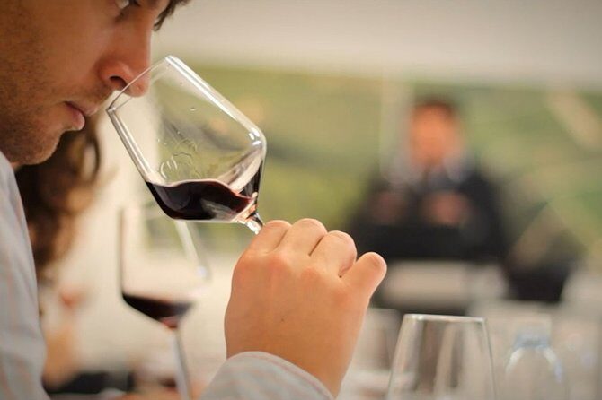 Bordeaux: Wine Tour and Tasting - Getting there from Bordeaux: tram and bus directions that actually work