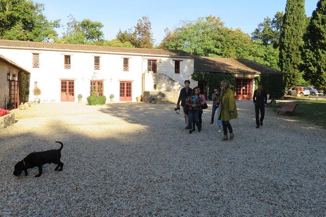Bordeaux: Wine Tour and Tasting - Who this Bordeaux wine tour is best for